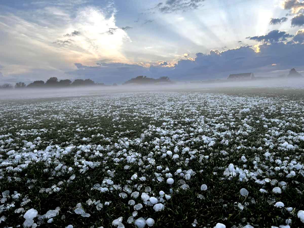 Collin County, TX Guide to Auto Hail Repair
