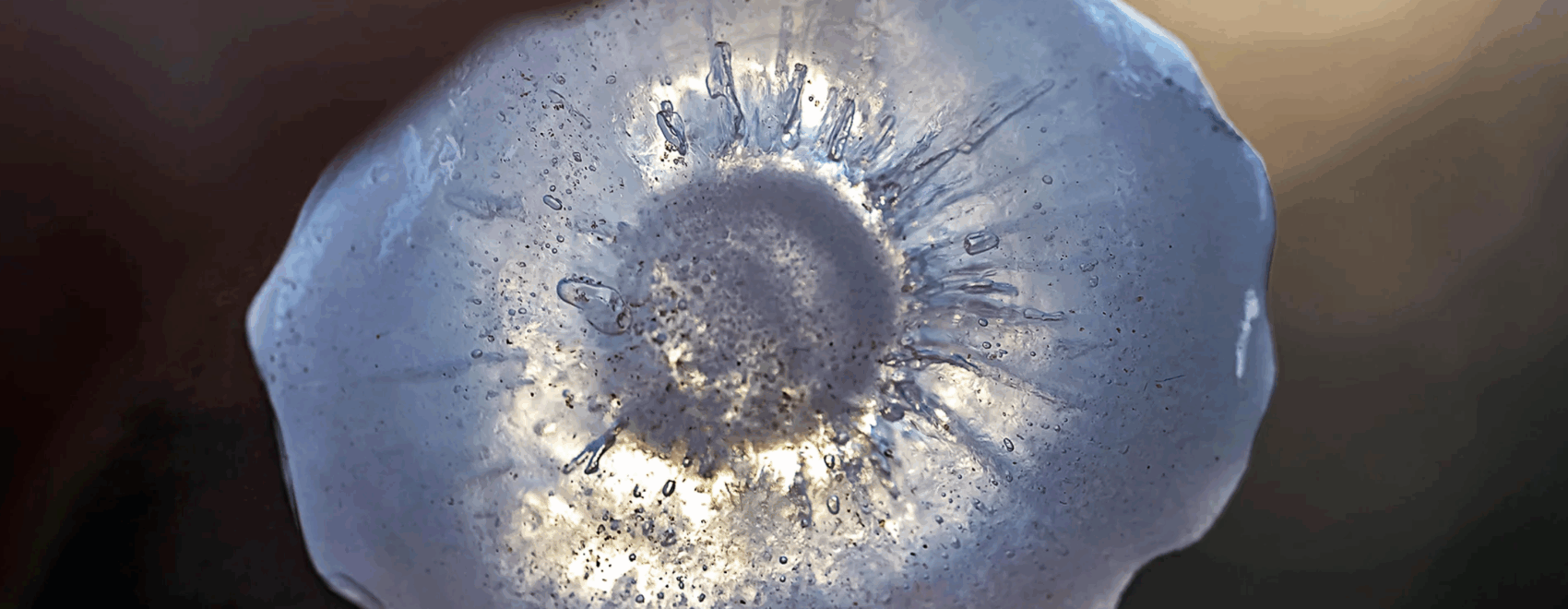 The Science of Hail: How it effects your vehicle